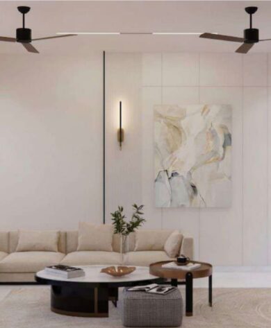 2 BHK Apartment